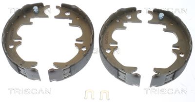 TRISCAN Bremsbackensatz, Feststellbremse