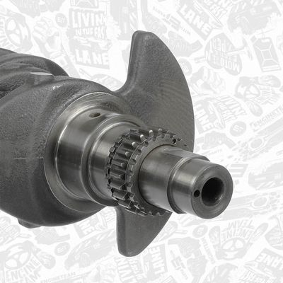 ARBORE COTIT ET ENGINETEAM HK0190VR1 3