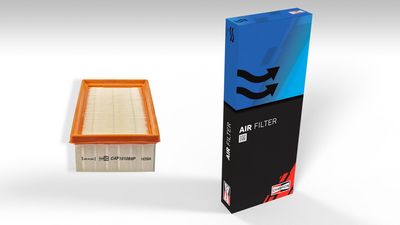 LUFTFILTER CHAMPION CAF101069P 2