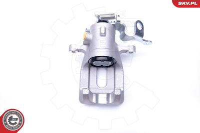 Brake Caliper 42SKV403