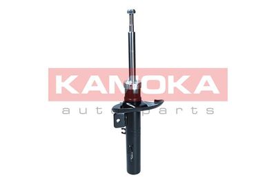 Shock Absorber 2001281