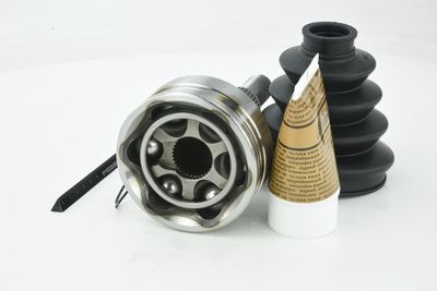 SET ARTICULATIE PLANETARA FEBEST 2010NIT 17