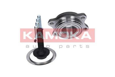 Wheel Bearing Kit 5500130