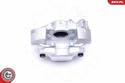 Brake Caliper 45SKV862