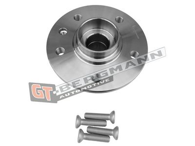 GT-BERGMANN Automotive Rato guolio komplektas
