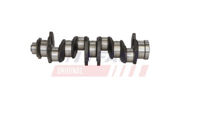ARBORE COTIT FAST FT51759 12