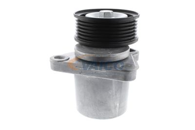 INTINZATOR CUREA CUREA DISTRIBUTIE VAICO V250445 12