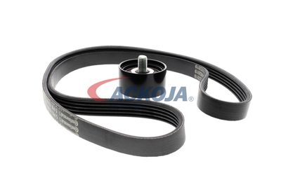 SET CUREA TRANSMISIE CU CANELURI ACKOJA A520515 19