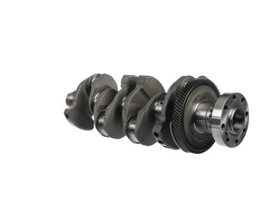 ARBORE COTIT ET ENGINETEAM HK0220 9