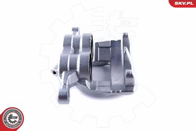 Brake Caliper 50SKV021