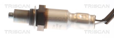 SONDA LAMBDA TRISCAN 884543096 1