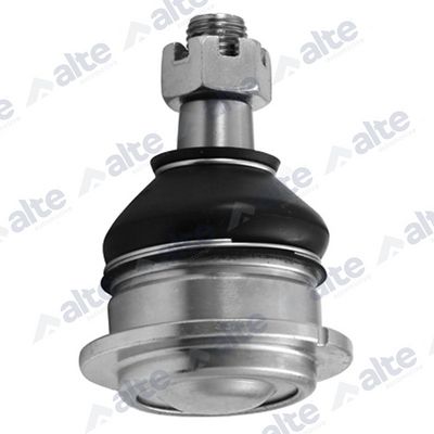 ARTICULATIE SARCINA/GHIDARE