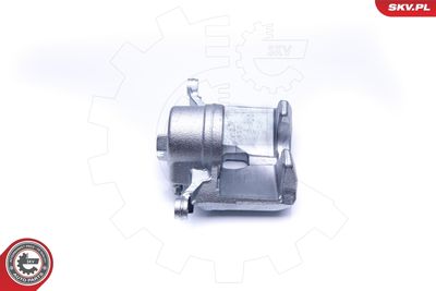 Brake Caliper 42SKV202