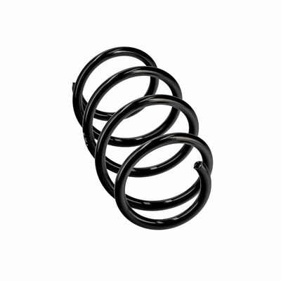 ARC SPIRAL EIBACH R19597 12