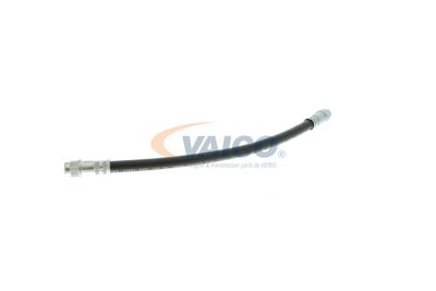 FURTUN FRANA VAICO V460535 31