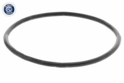 CARCASA CLAPETA ACKOJA A53810005 2