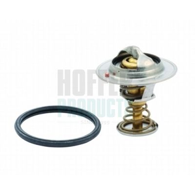 TERMOSTAT LICHID RACIRE