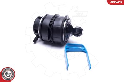 Air Spring, suspension 58SKV057