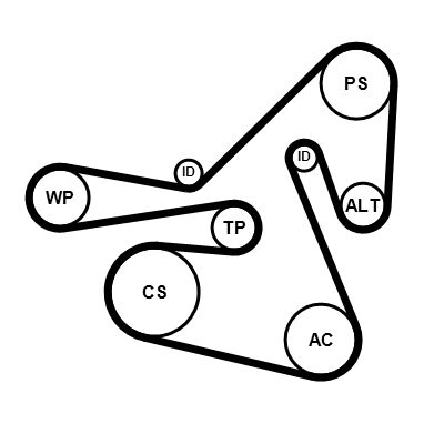 SET CUREA TRANSMISIE CU CANELURI