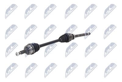 PLANETARA NTY NPWCT073 20