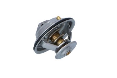 TERMOSTAT LICHID RACIRE NRF 725105 22