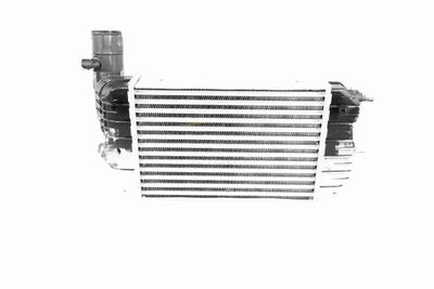 INTERCOOLER COMPRESOR VEMO V22600013 5