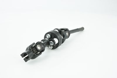 ARBORE DIRECTIE FEBEST ASSZGVSQ 19