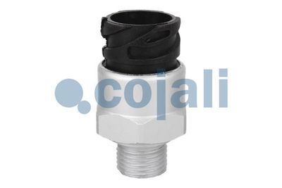 Sensor COJALI 2260269