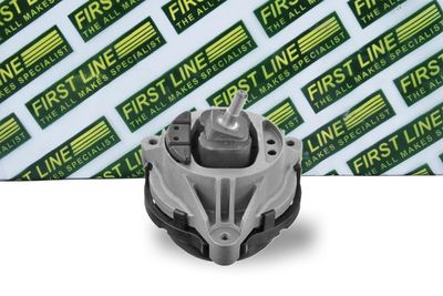 окачване, двигател FIRST LINE FEM4376