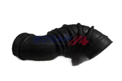 Intake hose, air filter