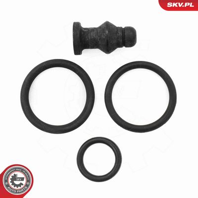 CHIT REPARATIE UNITATE POMPA-DIUZA ESEN SKV 53SKV197 1