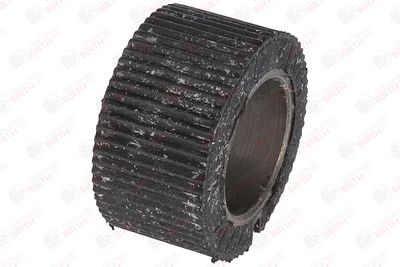 BUCSA ARBORE DE DIRECTIE BIRTH 4848 5