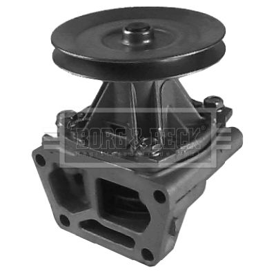Водяной насос, охлаждение двигателя BORG & BECK BWP1666 для FIAT RITMO