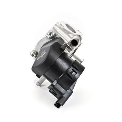 AGR-VENTIL DELPHI EG1064312B1 10