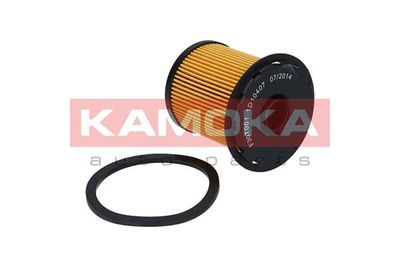 Fuel Filter F307001