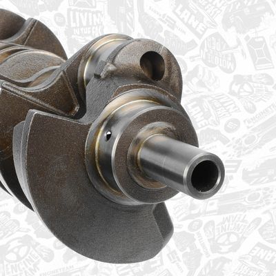 ARBORE COTIT ET ENGINETEAM HK0218 4