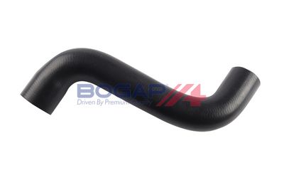 FURTUN EAR SUPRAALIMENTARE BOGAP A1711249 1