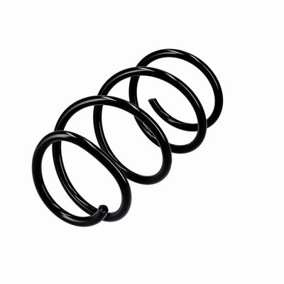 ARC SPIRAL EIBACH R10355 3