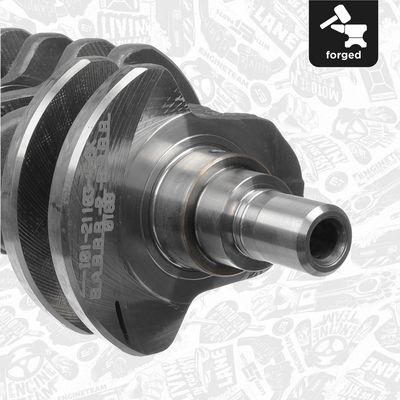 ARBORE COTIT ET ENGINETEAM HK0205 4