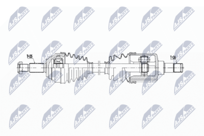 PLANETARA NTY NPWFR169