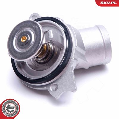 Termostatas, aušinimo skystis