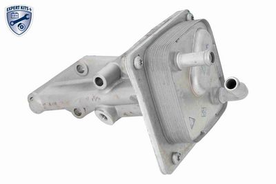 RADIATOR ULEI ULEI MOTOR ACKOJA A38600005 4