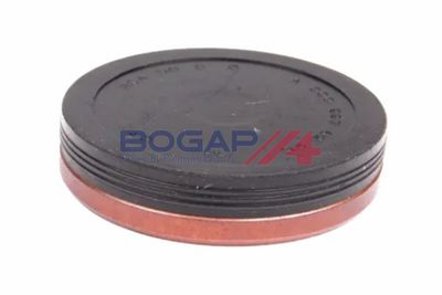 CAPAC CONECTOR BOLT PRINCIPAL