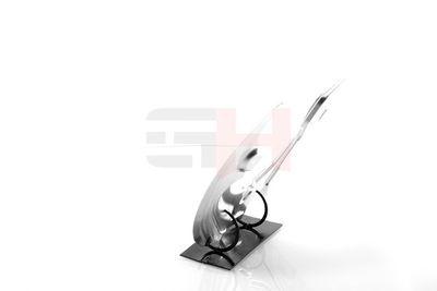 PROTECTIE STROPIRE DISC FRANA GH GH481550H 41