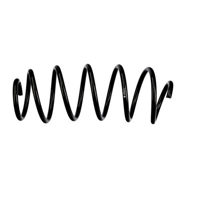 ARC SPIRAL EIBACH R10255 19