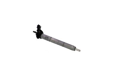 INJECTOR REMANTE 002003001368R 49