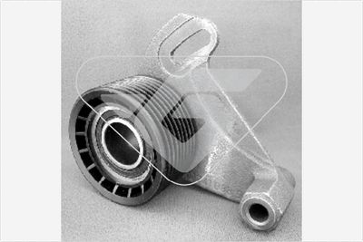 ROLA GHIDARE/CONDUCERE CUREA DISTRIBUTIE