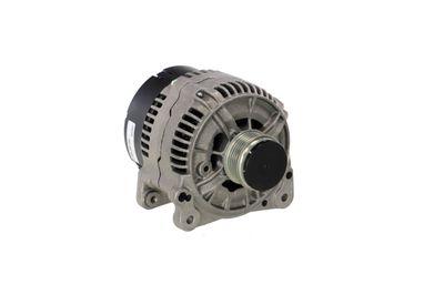 GENERATOR / ALTERNATOR REMANTE 011003000482R 49