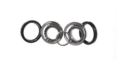 SET RULMENT ROATA SKF VKBA749 4