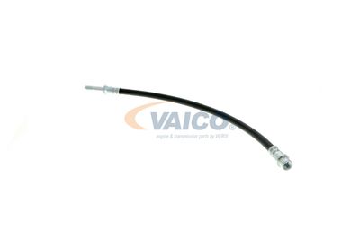 FURTUN FRANA VAICO V309931 17